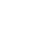 1604469969_fsc.png